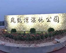 辽宁全队表演锐不可挡，惠州豪砍+，凤鹤祥龙限制雄狮的简单介绍